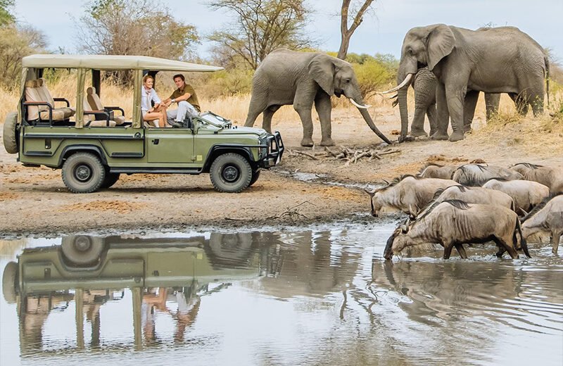5 Days Safari – Ngorongoro & Serengeti National Park