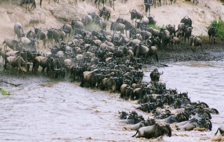 Best Time to Visit Tanzania