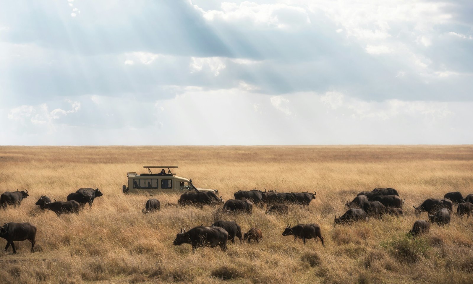 Best Time to Visit Tanzania
