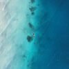 Best Time to Visit Zanzibar: Month-by-Month Guide (+ Safari Tips)