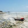 Nungwi Beach Zanzibar