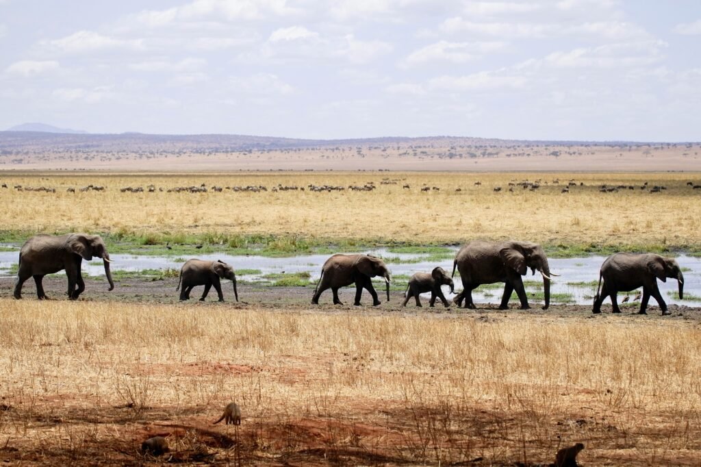 Arusha in Tanzania