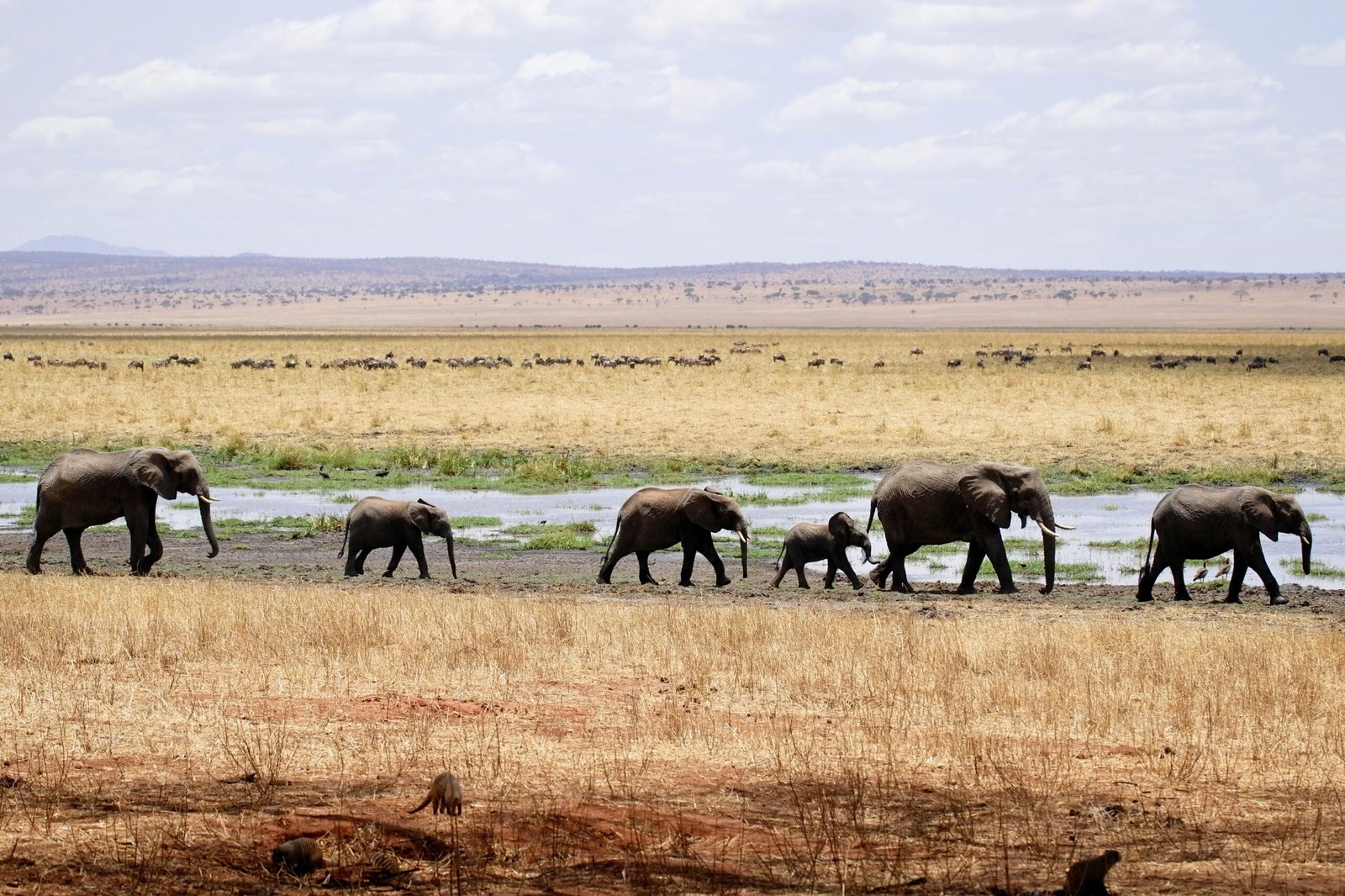 Arusha in Tanzania