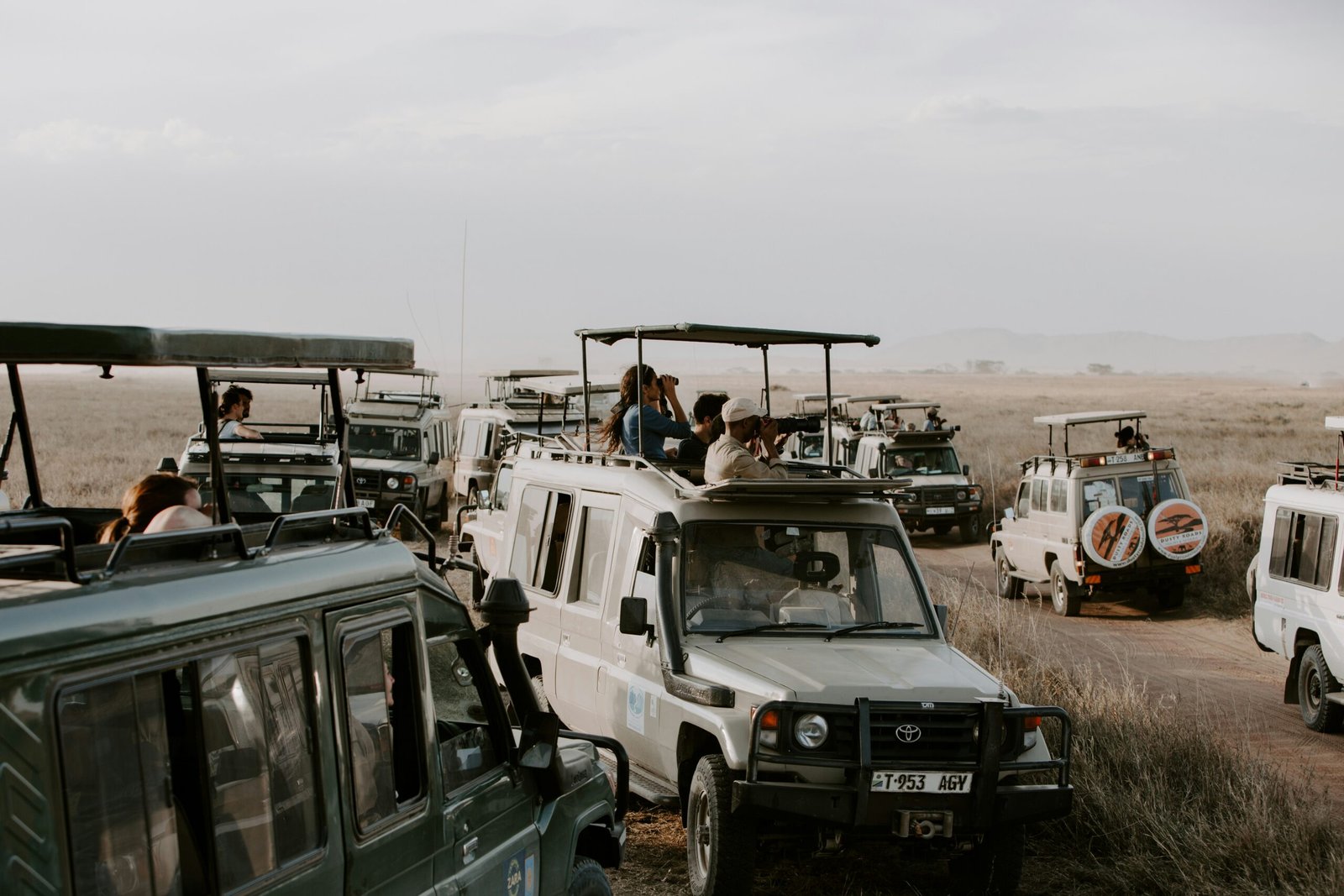 tanzania honeymoon safari​